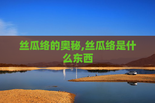 丝瓜络的奥秘,丝瓜络是什么东西