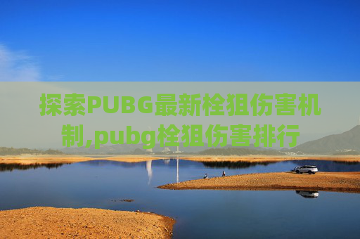 探索PUBG最新栓狙伤害机制,pubg栓狙伤害排行