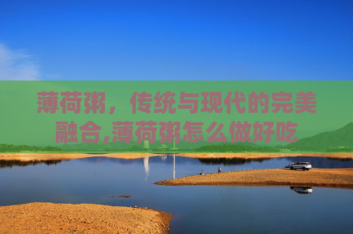 薄荷粥，传统与现代的完美融合,薄荷粥怎么做好吃
