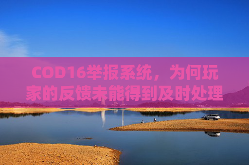 COD16举报系统，为何玩家的反馈未能得到及时处理？,使命召唤怎么知道自己举报的人