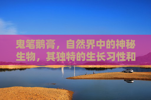 鬼笔鹅膏，自然界中的神秘生物，其独特的生长习性和毒性之谜,鬼笔鹅膏图片
