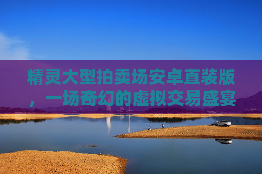 精灵大型拍卖场安卓直装版，一场奇幻的虚拟交易盛宴,精灵大型拍卖场攻略