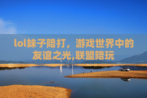 lol妹子陪打，游戏世界中的友谊之光,联盟陪玩
