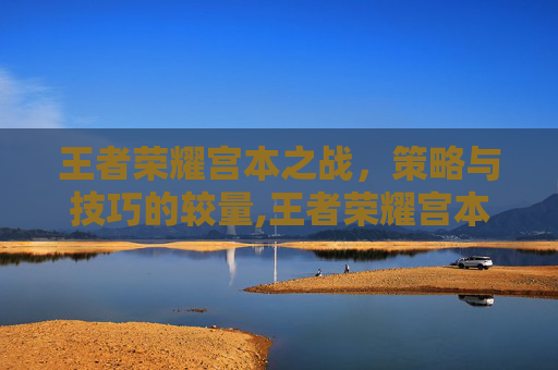 王者荣耀宫本之战，策略与技巧的较量,王者荣耀宫本战力最低的省