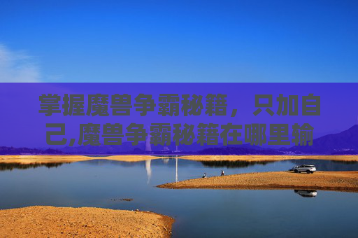 掌握魔兽争霸秘籍，只加自己,魔兽争霸秘籍在哪里输入