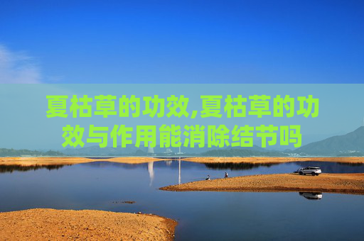 夏枯草的功效,夏枯草的功效与作用能消除结节吗