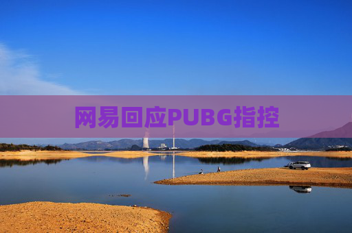 网易回应PUBG指控