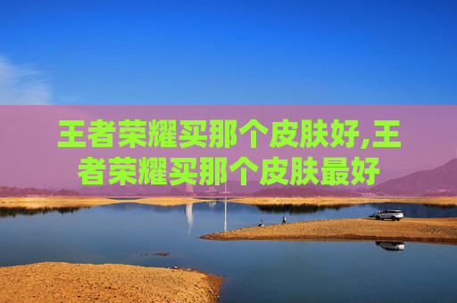 王者荣耀买那个皮肤好,王者荣耀买那个皮肤最好