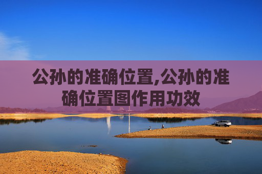 公孙的准确位置,公孙的准确位置图作用功效