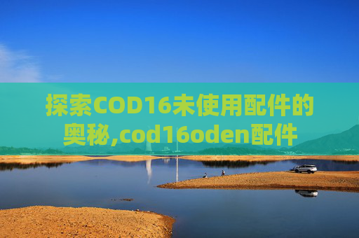 探索COD16未使用配件的奥秘,cod16oden配件