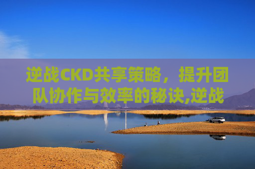 逆战CKD共享策略，提升团队协作与效率的秘诀,逆战怎么解释