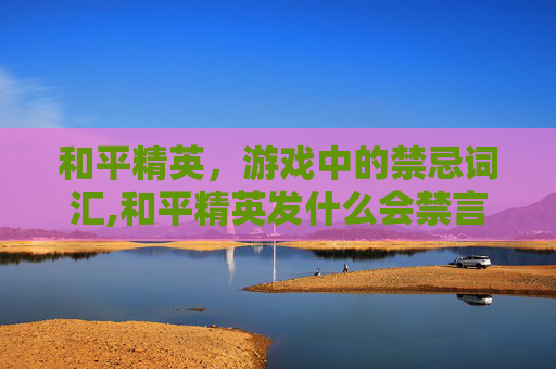 和平精英，游戏中的禁忌词汇,和平精英发什么会禁言