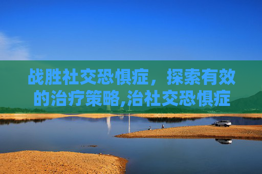 战胜社交恐惧症，探索有效的治疗策略,治社交恐惧症方法有哪些