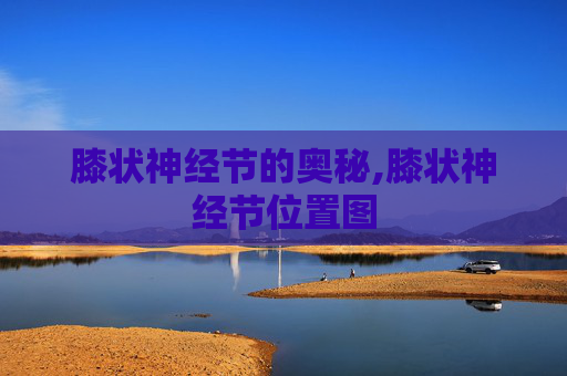 膝状神经节的奥秘,膝状神经节位置图