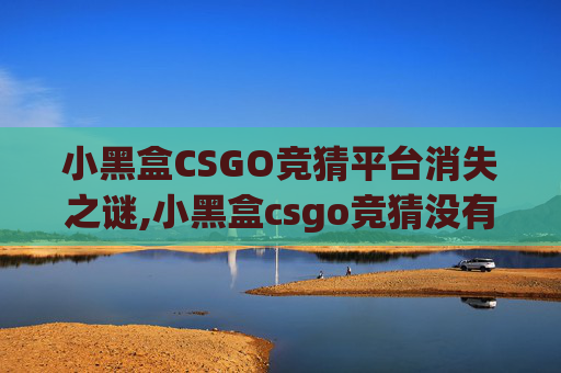 小黑盒CSGO竞猜平台消失之谜,小黑盒csgo竞猜没有了怎么办