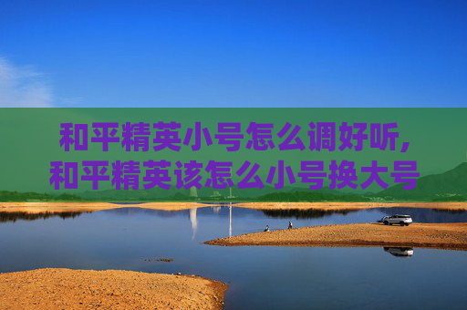 和平精英小号怎么调好听,和平精英该怎么小号换大号