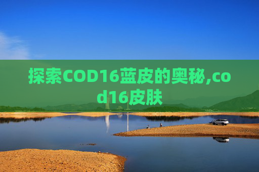 探索COD16蓝皮的奥秘,cod16皮肤