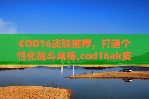 COD16皮肤推荐，打造个性化战斗风格,cod16ak皮肤
