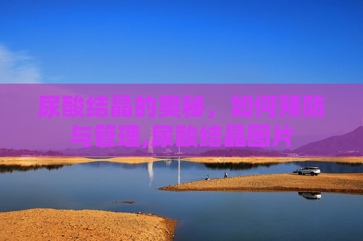 尿酸结晶的奥秘，如何预防与管理,尿酸结晶图片
