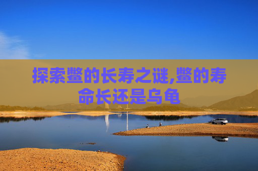 探索鳖的长寿之谜,鳖的寿命长还是乌龟