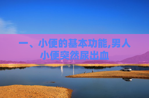 一、小便的基本功能,男人小便突然尿出血