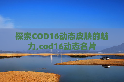 探索COD16动态皮肤的魅力,cod16动态名片