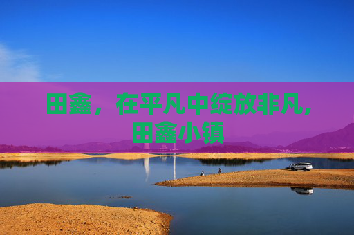 田鑫，在平凡中绽放非凡,田鑫小镇
