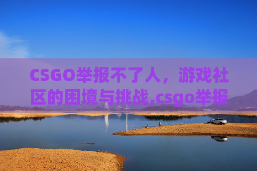 CSGO举报不了人，游戏社区的困境与挑战,csgo举报几次会被禁言