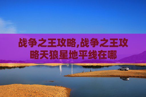 战争之王攻略,战争之王攻略天狼星地平线在哪
