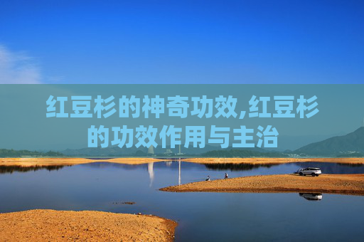 红豆杉的神奇功效,红豆杉的功效作用与主治