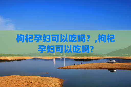 枸杞孕妇可以吃吗？,枸杞孕妇可以吃吗?