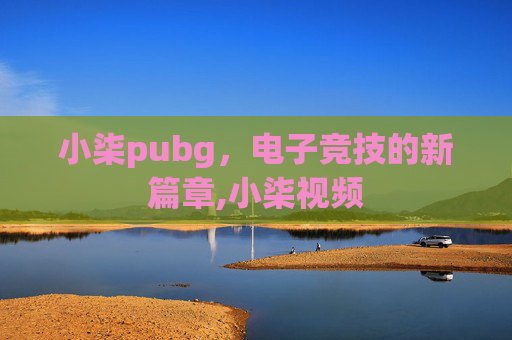 小柒pubg，电子竞技的新篇章,小柒视频