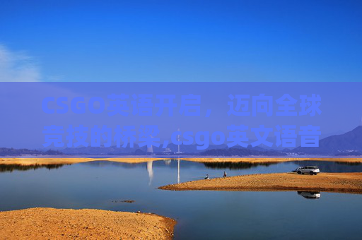 CSGO英语开启，迈向全球竞技的桥梁,csgo英文语音