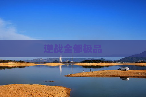 逆战全部极品