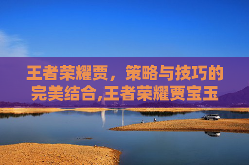 王者荣耀贾，策略与技巧的完美结合,王者荣耀贾宝玉