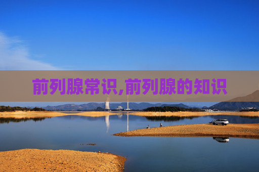前列腺常识,前列腺的知识