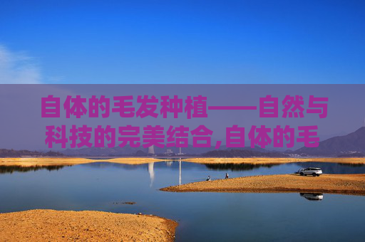 自体的毛发种植——自然与科技的完美结合,自体的毛发种植多少钱