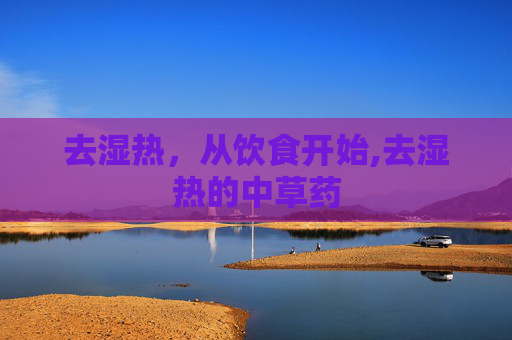 去湿热，从饮食开始,去湿热的中草药
