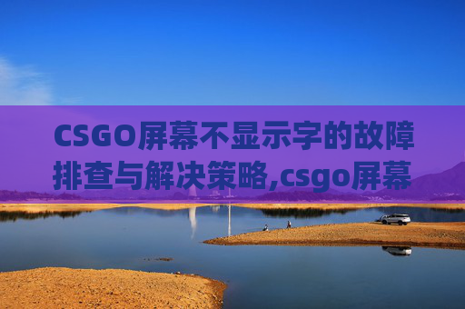 CSGO屏幕不显示字的故障排查与解决策略,csgo屏幕显示不全
