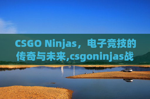 CSGO Ninjas，电子竞技的传奇与未来,csgoninjas战队
