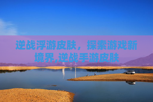 逆战浮游皮肤，探索游戏新境界,逆战手游皮肤