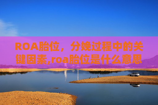 ROA胎位，分娩过程中的关键因素,roa胎位是什么意思