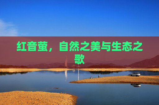 红音萤，自然之美与生态之歌