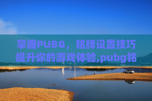掌握PUBG，铭牌设置技巧提升你的游戏体验,pubg铭牌在哪设置