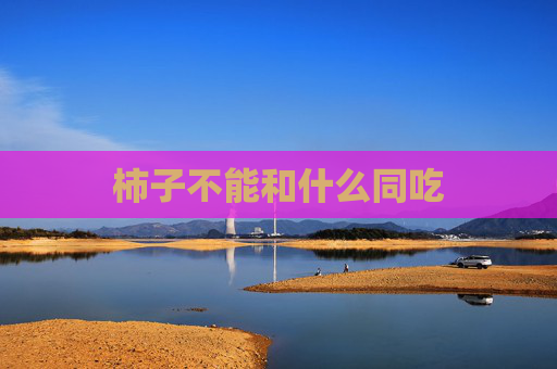 柿子不能和什么同吃
