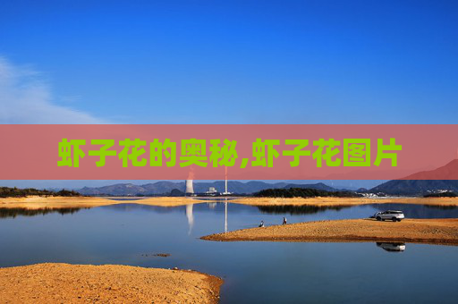 虾子花的奥秘,虾子花图片