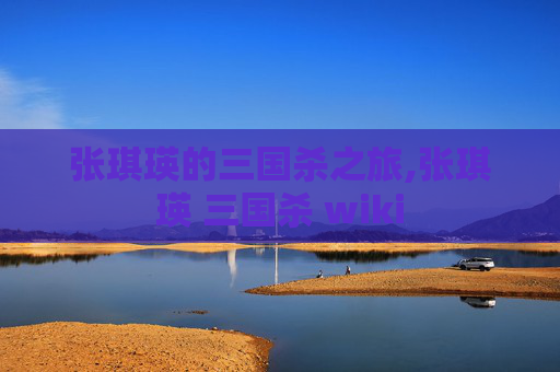 张琪瑛的三国杀之旅,张琪瑛 三国杀 wiki
