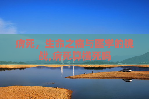 病死，生命之痛与医学的挑战,病死算横死吗