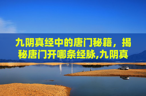 九阴真经中的唐门秘籍，揭秘唐门开哪条经脉,九阴真经唐门经脉攻略