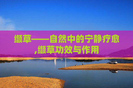 缬草——自然中的宁静疗愈,缬草功效与作用